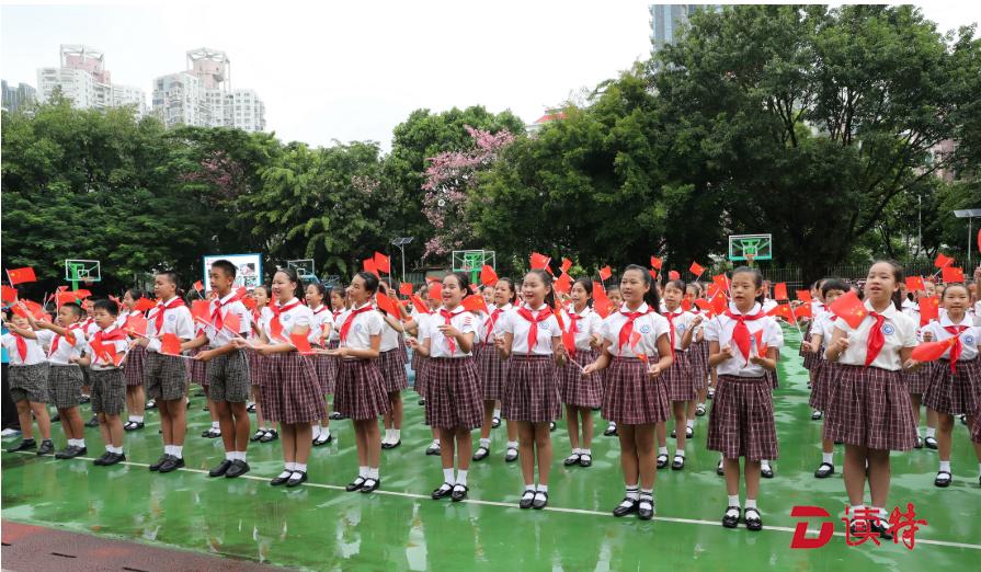 广东省的丰富学识，多元领域的学习之旅