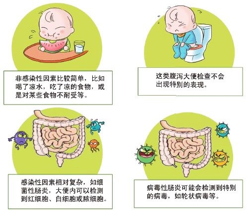 十个月宝宝反复拉肚子，原因、应对与预防