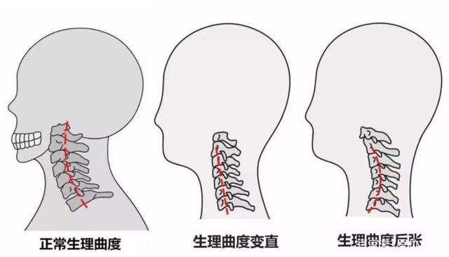 胸闷好几个月了，探寻症状背后的真相与健康之路