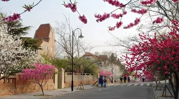 广东省揭阳市花市，繁花似锦的市井盛景