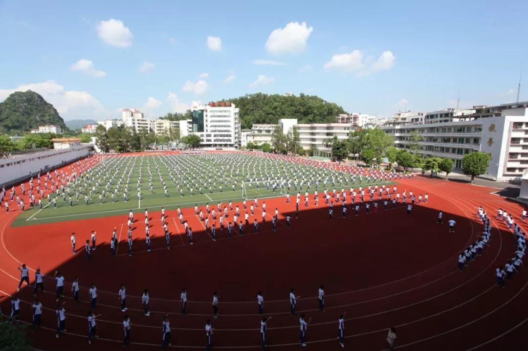 广东省自主管理系统，引领现代化管理新潮流