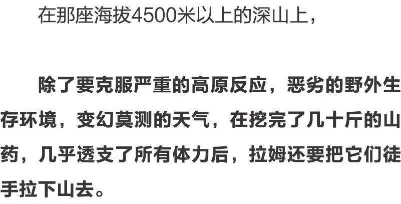 广东省未婚生子现象的社会观察与探讨