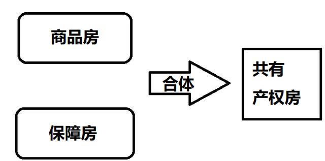 房产共有产权，概念、实践与挑战