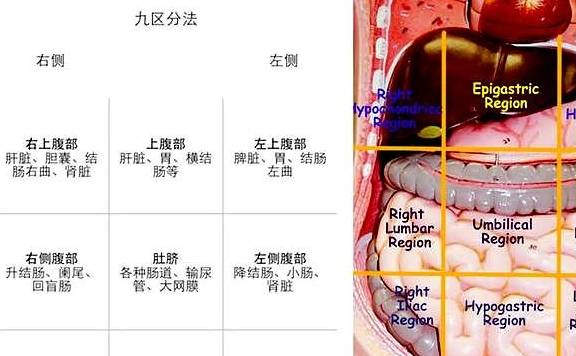 左腹痛三个月，探索病因与解决方案