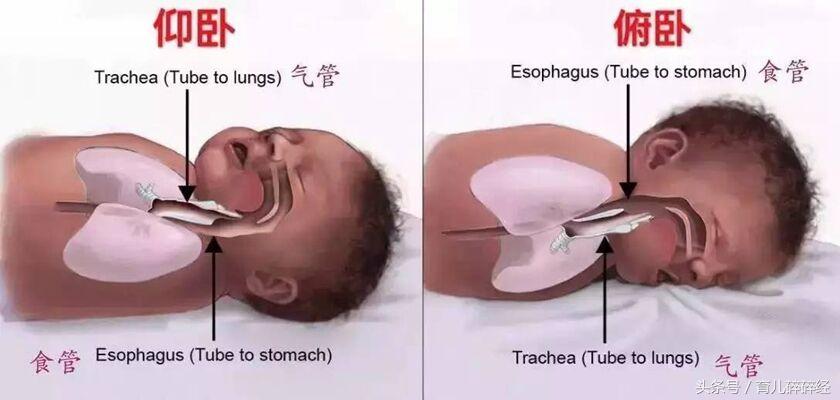 宝宝五个月大，喜欢趴着睡——一种自然的睡眠模式与家长的应对策略