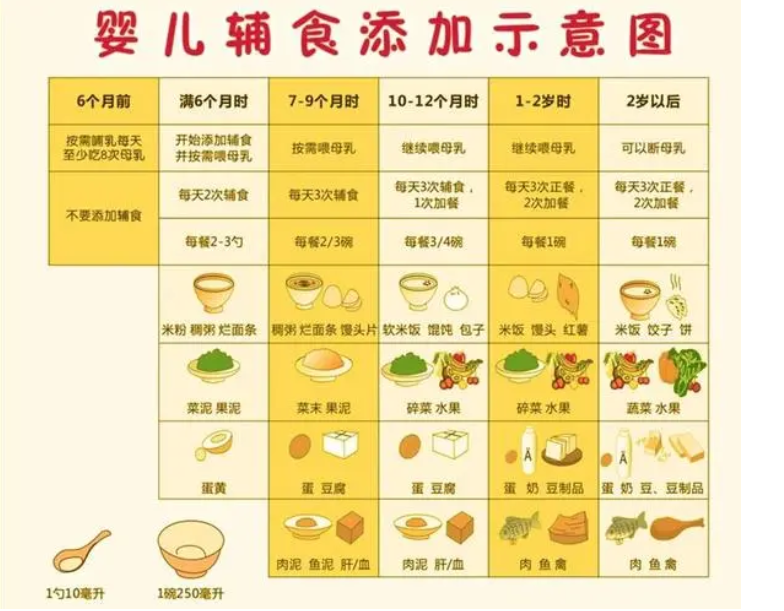 九个月宝宝的辅食食谱，营养丰富的辅食搭配指南