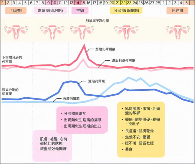 生理期每个月都提前，原因、影响与管理策略